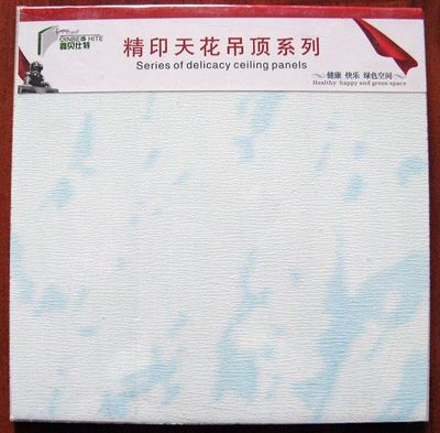 Suspended Ceiling Panel - 2