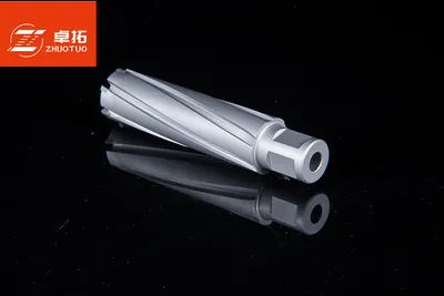 Carbide Annular Cutter for Drilling
