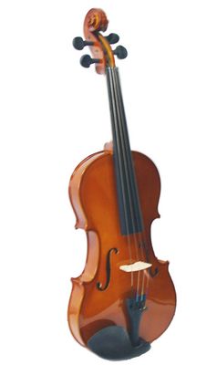 Violin