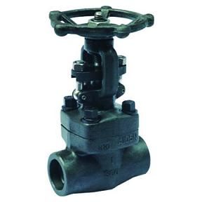 Forged Steel Flang End Gate Valve