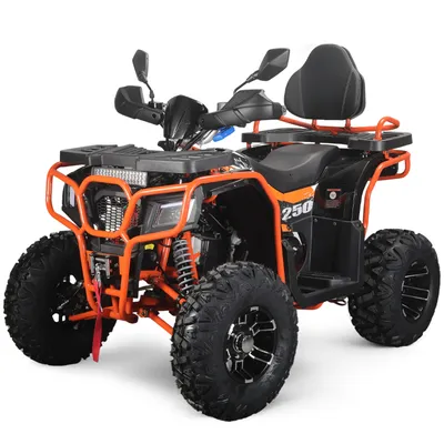 200cc ATV Quad Bike 4 Wheel for Adults with CVT