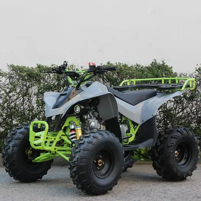 125cc ATV Buggy off Road 4X2 Mini for Adults and Kids