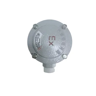 Versatile a-1W-F Single-Inlet Terminal Box for Hazardous Areas
