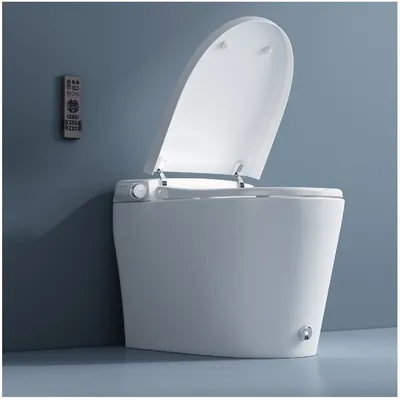Self Cleaning Function Wc Smart Toilet with Bidet
