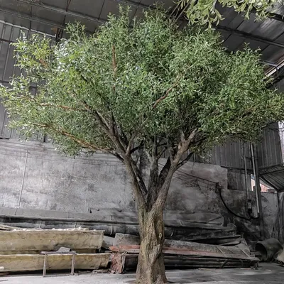 Customized Big Olive Tree Artificial Olive Tree
