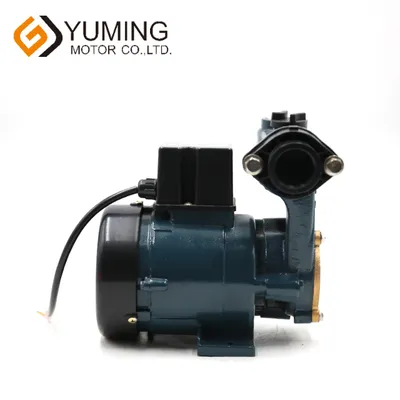 Jsp-100 Jsp Series Household Self-Priming Jet Pump Ym43