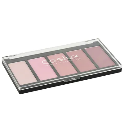 Makeup Cheeks OEM ODM Blush Cheeks Private Label China Eco-Friendly