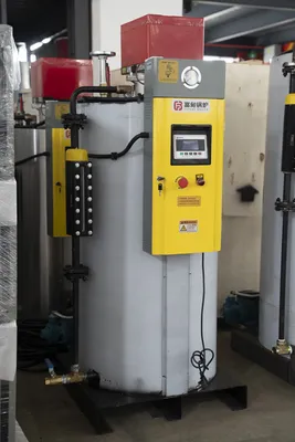 Packaged Diesel Fuel Steam Generator