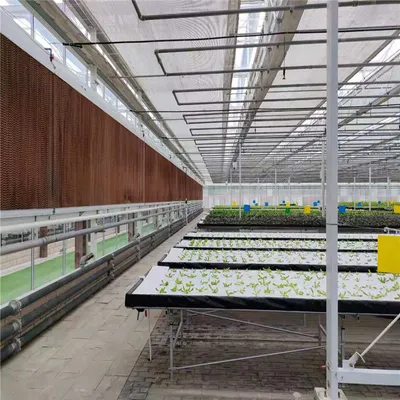 Wenluo Type Glass Green House