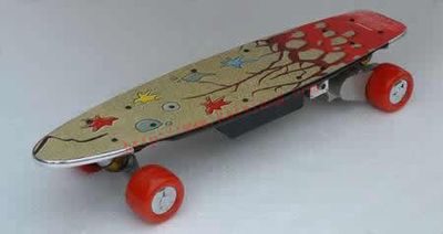 Remote Control Skateboard / Electric Skateboard (RC24V-400A)