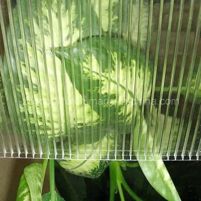 6mm Transparent Polycarbonate Hollow Sheet