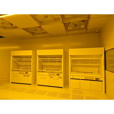 Clear Visibility AC220V Easy Operation PP Lab Fume Hood