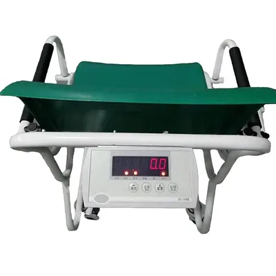 Advanced Digital Weighing Scales for Nursing Home Patients