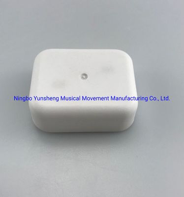Yunsheng Miniature Movment with Case (YM3C04B)