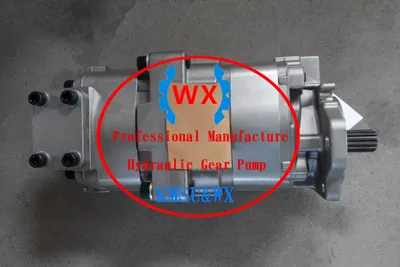 705-51-30170 Double Hydraulic Gear Pump for Crane Lw250L-1nh/Lw250L-1nx