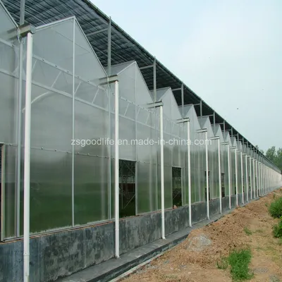 Polycarbonate Twin Wall Sheet Polycarbonate Triple Wall Sheet