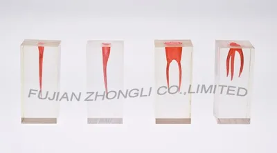 High Quality Root Canal Treatment S2 Series