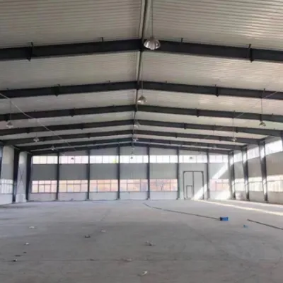 Light Steel Structure Workshop & Warehouse Custom Design
