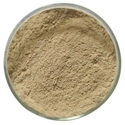 Ellagic Acid 476-66-4 Personal Care Skin Brightening & Antioxidant