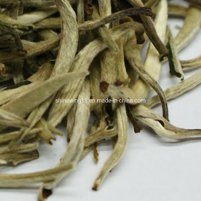 Silver Needle Tea Leaf Fuding White Tea