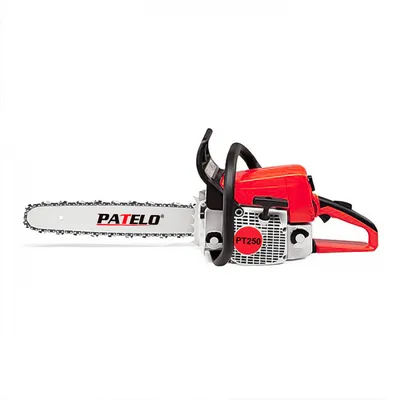 Horticulture Gasoline Chainsaw 250 Wood Cutting Machine