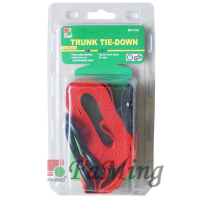 Buckle Tie Down (M110)