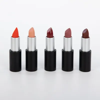Lip Color Private Label OEM ODM Lipstick China