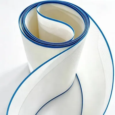 Polyester Square Mesh Conveyor Belt with PU Reinforced Blue Edge
