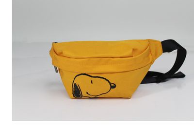 Messenger Bag Leisure Bag Fashion Bag School Bag Sports Bag Belt Bag