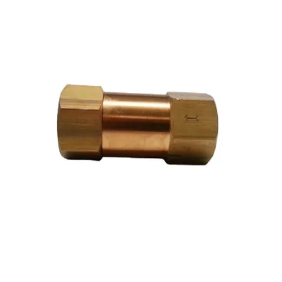 Ball Check Valve in Brass-NPT