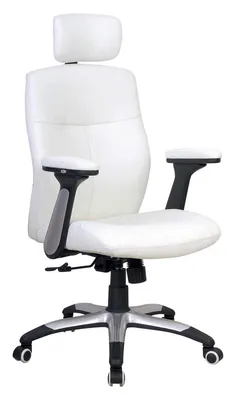 Swivel Chair (YX-1246)
