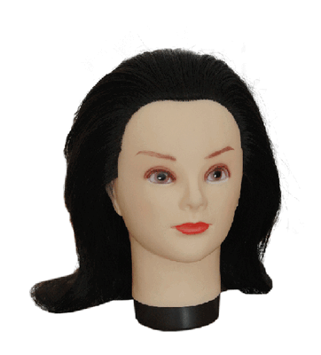 Training Head ((28)1702-401)