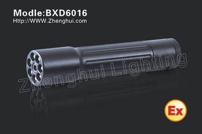 Mini Explosion-Proof Flashlight/LED Flashlight (PABX)