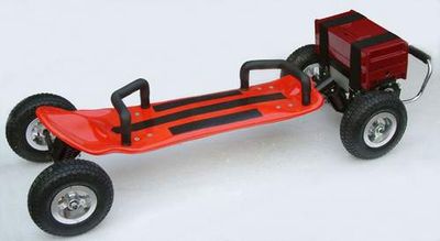 Remote Control Skateboard (RC36V-800C)