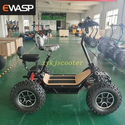 6000W Fold Electric Wide Tire 4wheels Scooter for Farm All-Terrain Vehicle