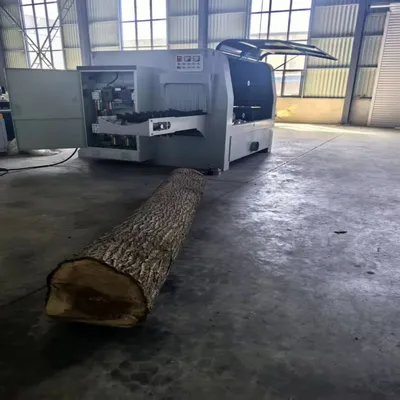 Multiple Blade Rip Saw Log Cutting Circular Sawmill