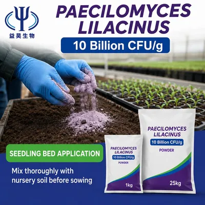 High Viability Paecilomyces Lilacinus Powder for Agriculture Nematode Control