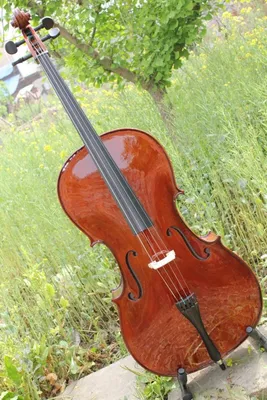 Student Cello (YSC004)