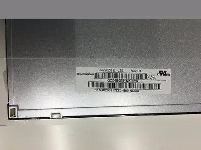 M220z3-La3 M220zge-L20 S22A330bw Display Screen One Machine Screen
