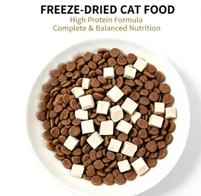 All Life Stages Cat Food for Healthy Growth and Energy