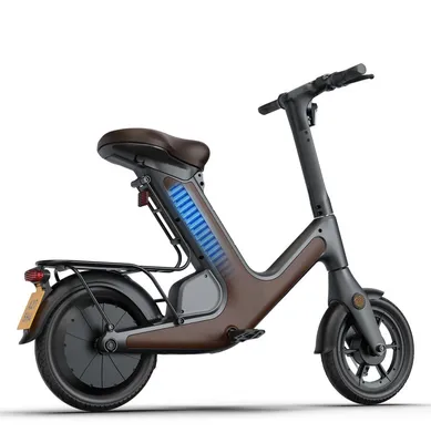off Road Powerful 400W E Scooter with Dual Suspension