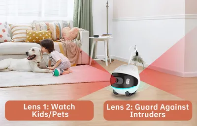 Christmas Gift Idea: Smart Reusable Wireless Pet Camera with Motion Detection and Internet Alerts for Cats