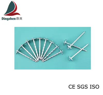 High Quality Umbrella Head Roofing Nails (gentiana)