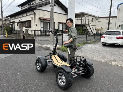 Monster 2-Seat Renli 6000W 4X4 Sport Buggy /Go Kart