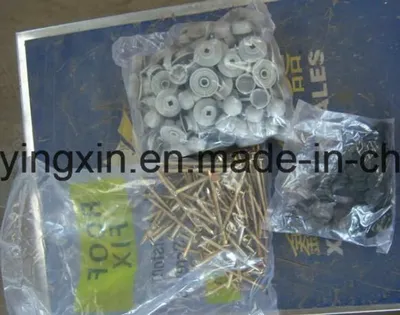 Roofing Screws Nails with Plain Thread and Washers for Construction Materials