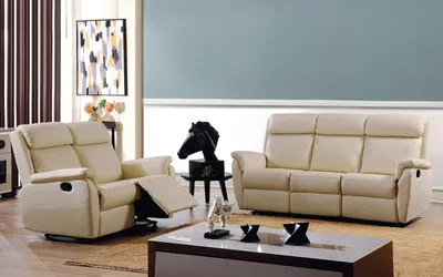 Leather Sofa /Recliner Sofa (299Y)