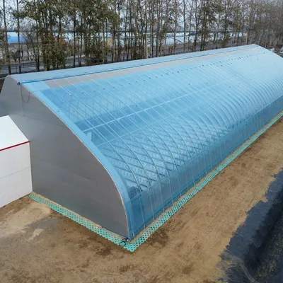 Steel Structure Winter Warm Solar Greenhouse with Quilt for Cold Area