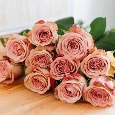 Cappuccino Rose Wholesale Yunnan Kunming Dounan Market Flower Base Fresh Cut Valentine's Day Rose Wholesale