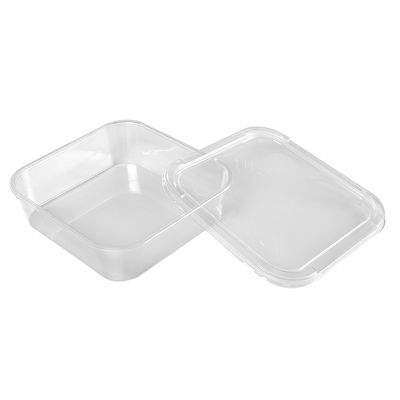 Clear Rectangular Plastic Container Non-Hinged 8sq64