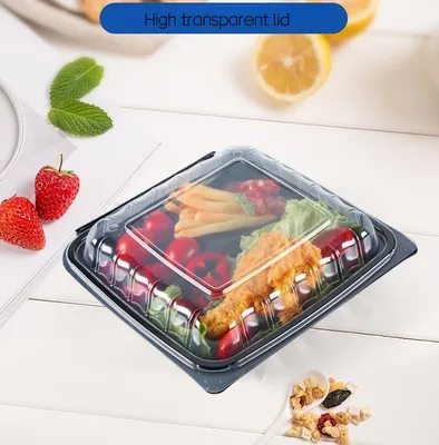 Hygienic Microwaveable PP Lunch Box with Lid Anti-Fog Conjoined Containers Designed for Safe Fast Food Packaging
